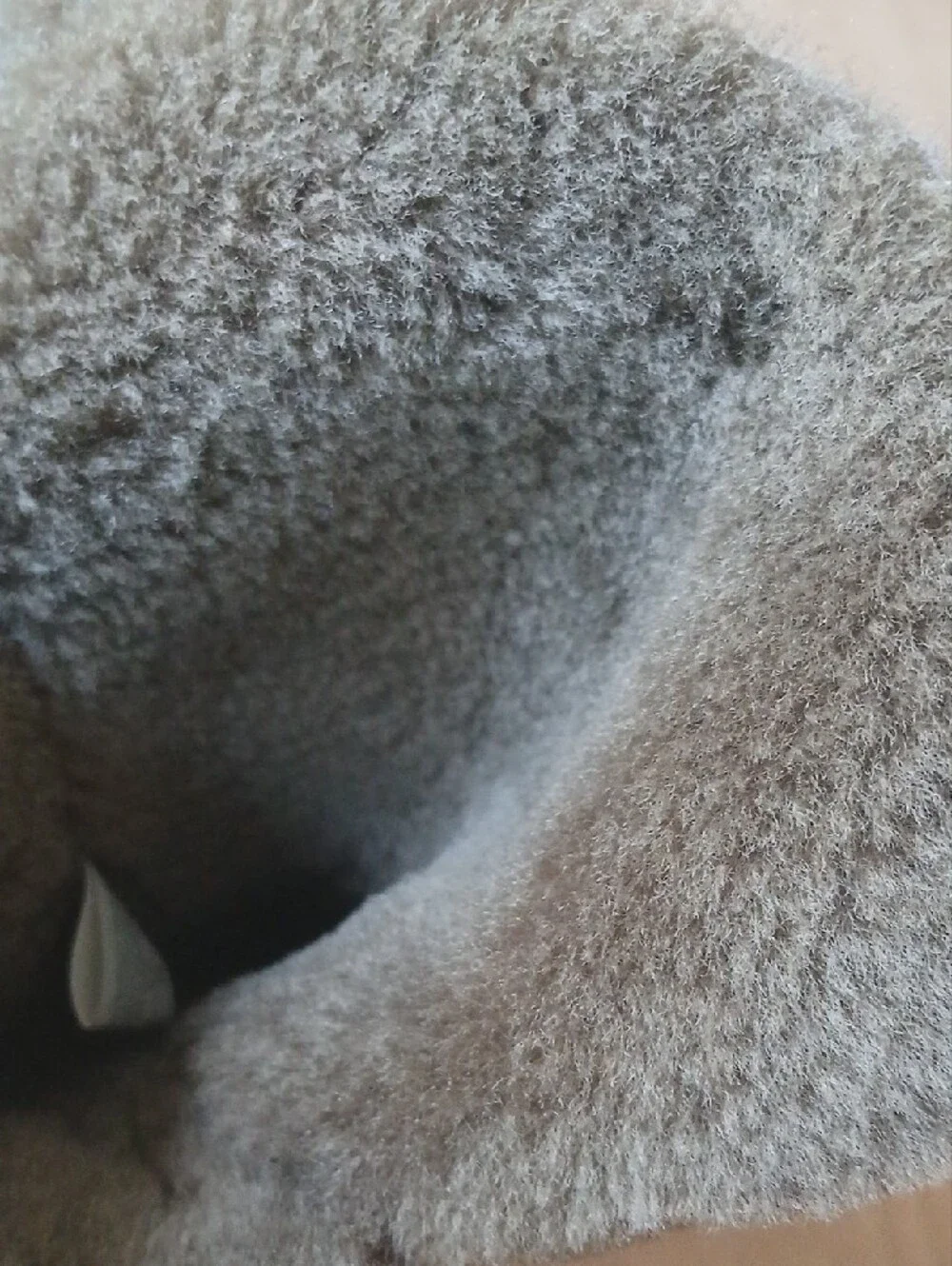 Emu wedge ankle